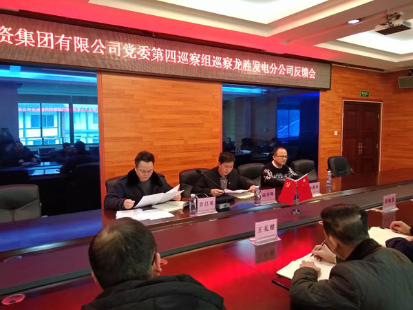 1549854110288745.jpg 2.農(nóng)投集團(tuán)黨委第四巡察組向龍勝發(fā)電分公司反饋巡察情況.jpg