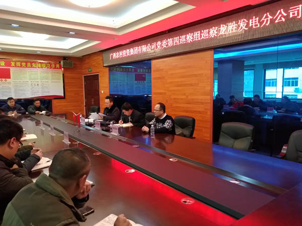 1549854194745561.jpg 3.農(nóng)投集團(tuán)黨委第四巡察組向龍勝發(fā)電分公司反饋巡察情況.jpg