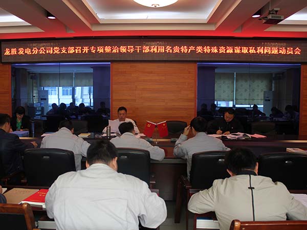 龍勝發(fā)電分公司召開(kāi)集中整治領(lǐng)導(dǎo)干部利用名貴特產(chǎn)類特殊資源謀取私利問(wèn)題工作會(huì)圖片.jpg